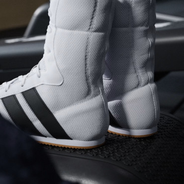 Boxing shoes Adidas Box Hog Classic - white / black