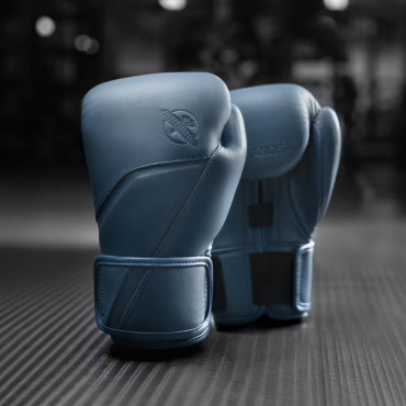 Boxing gloves Hayabusa E1 Leather - blue