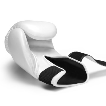 Boxing gloves Hayabusa Pro Boxing - white