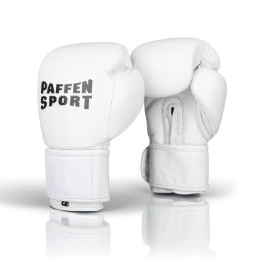 Boxing gloves Paffen Sport PRO KLETT X - white