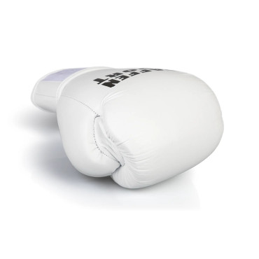 Boxing gloves Paffen Sport PRO KLETT X - white