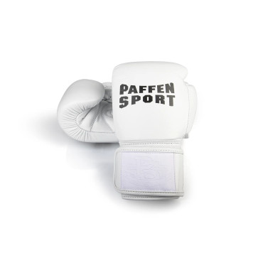 Boxing gloves Paffen Sport PRO KLETT X - white