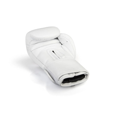 Boxing gloves Paffen Sport PRO KLETT X - white