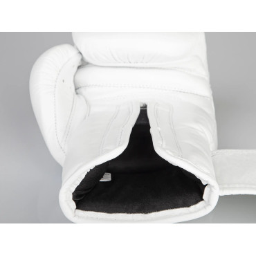Boxing gloves Paffen Sport PRO KLETT X - white