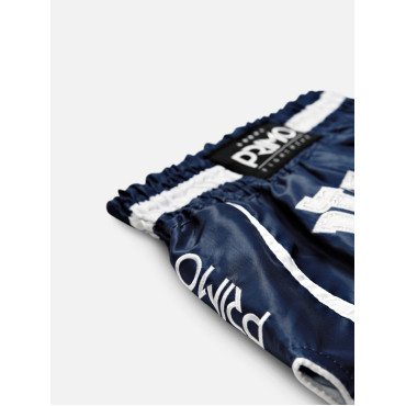 Primo Azure Dreams Thai boxing shorts