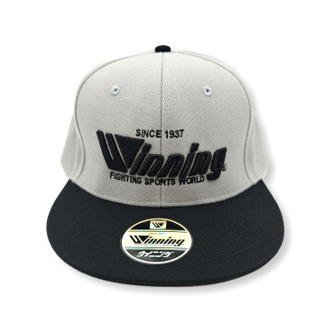 Cap Winning Snapback - grey / black