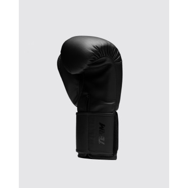 Boxing gloves Fly Team - black