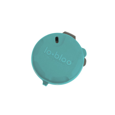 Mouthguard Case Lobloo - mint